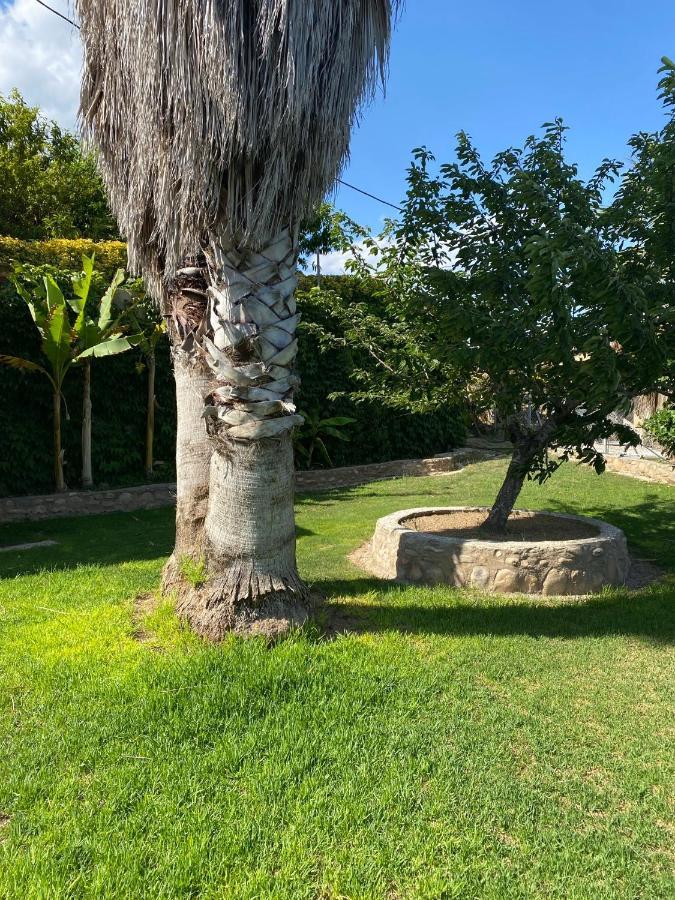 Masia Pau Prat Llica d'Amunt Esterno foto